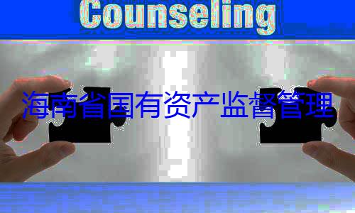 委副书记王资产监督管理委员会党查调查海南省国有有福接受审